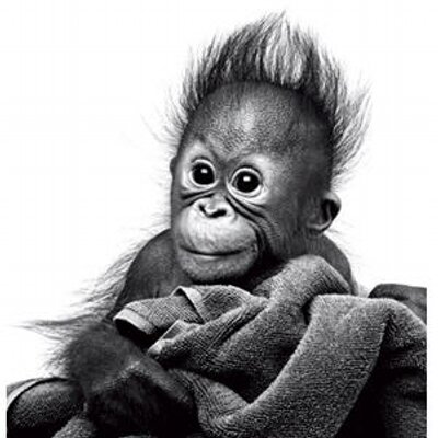 Profile Picture of Danny Xu (@dannyxu) on Twitter