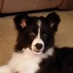 Profile Picture of Janet Caudill (@caudilljanet) on Instagram