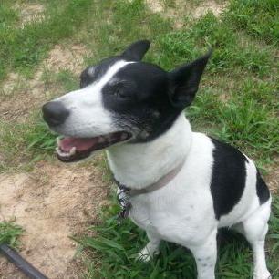 Profile Picture of Hunter Weaver (@hunterweaver201) on Twitter