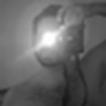 Profile Picture of Rafael Eisinger (@r. eisinger) on Flickr