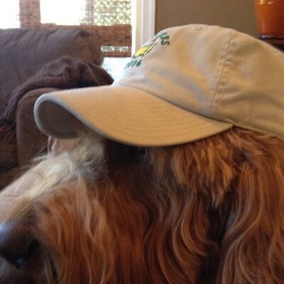 Mike Natoli - Twitter Profile Picture of Mike Natoli (@NatoliMike) on Twitter