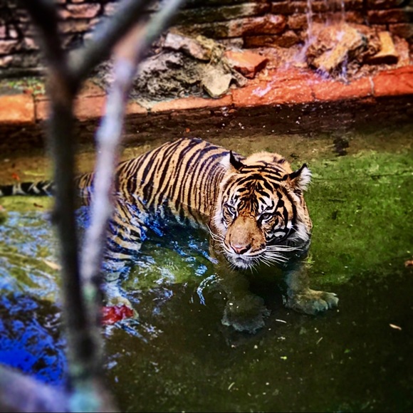 Profile Picture of Eric Chu (@nchu86) on Poshmark