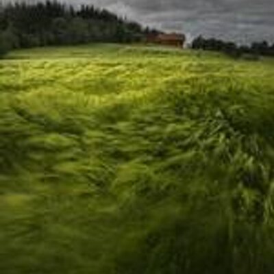 Profile Picture of Craig Romero (@CraigRomerom) on Twitter