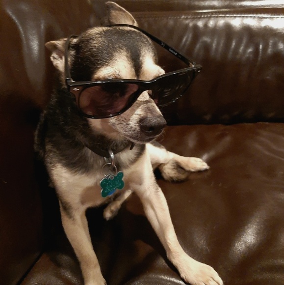 Profile Picture of Sammy Tedrow (@sammysellstuff) on Poshmark