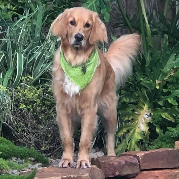 Profile Picture of Kristine Hudlow (@kristinehudlow) on Poshmark