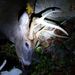 Profile Picture of Joseph Botkins (@josephbotkins) on Pinterest