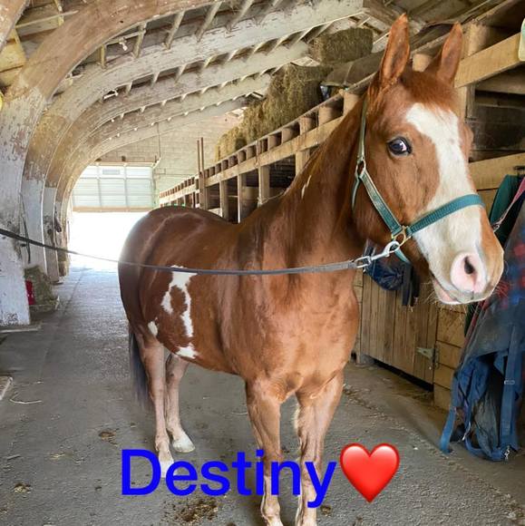 Profile Picture of Isabella Armour (@isabellaarmour) on Poshmark