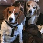 Profile Picture of Jessica Schedler-Bowker (@schedlerbowker) on Instagram