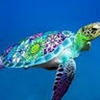 Profile Picture of Jenner Jones-orrell (@jenner-jones-orrell) on Quora