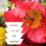 Profile Picture of Kelly (@keleise) on Instagram