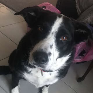 Profile Picture of Marc Steiger (@marcsteiger_) on Instagram