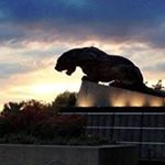 Profile Picture of Kilbert Craig (@kilbertcraig) on Instagram