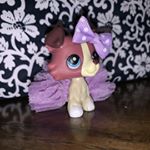 Profile Picture of Kathryn Rushing (@lps_kitty_queen22) on Instagram