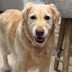 Andrew Jacobson - Facebook Profile Picture of Andrew Jacobson (@andrew.jacobson.9699) on Facebook