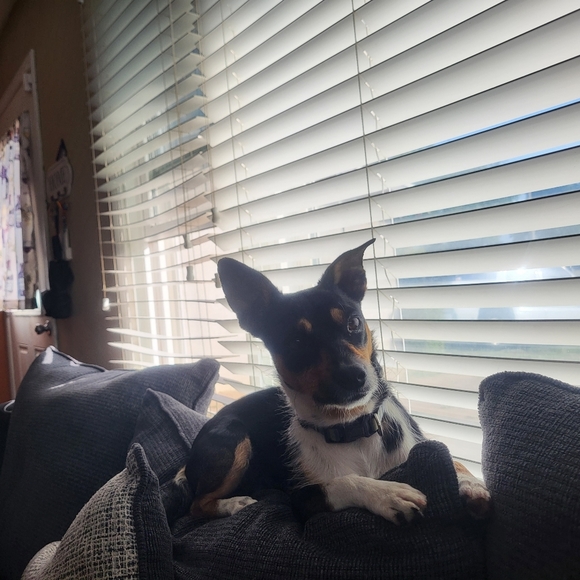 Profile Picture of Adrian Resendiz (@adrianresend312) on Poshmark