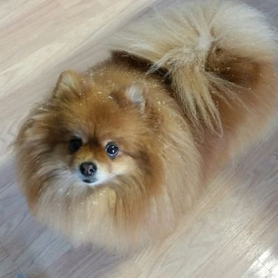 Robin Dusch - Twitter Profile Picture of Robin Dusch (@RobinDusch) on Twitter