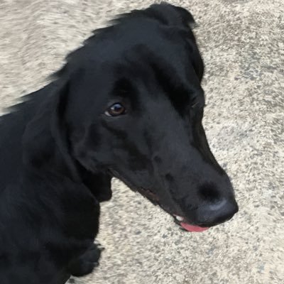 Profile Picture of Andy Kloster (@_andu_22) on Twitter