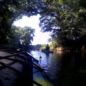 Profile Picture of Jamie Harden (@JamieHarden16) on Twitter