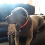 Nick Miranda - Instagram Profile Picture of Nick Miranda (@nick.miranda104) on Instagram