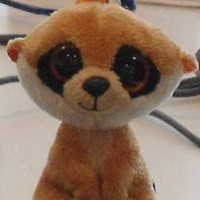 Profile Picture of Richard Rebel (@richard-rebel-1) on Quora