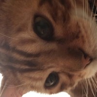 Profile Picture of Suzanne Marks (@suzanne-marks-4) on Quora