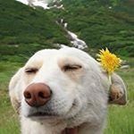 stevenis_here - Instagram Profile Picture of stevenis_here (@stevenis_here) on Instagram