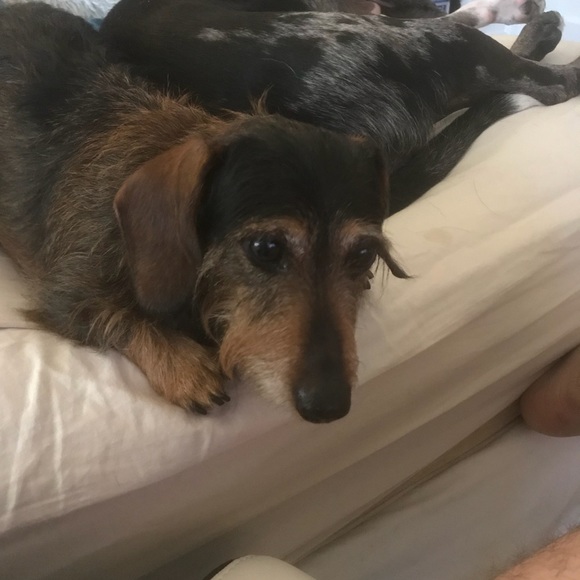 Profile Picture of David Andreadis (@david1234_) on Poshmark