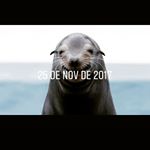 Profile Picture of Andrew Rudder (@lazynessdrums) on Instagram