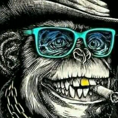 Profile Picture of dennis bloom (@dennisbloom8) on Tiktok