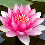 Profile Picture of Dorian Wallace (@dorianwallace568) on Youtube