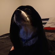 Profile Picture of Drew Craig (@drewlcraig) on Youtube