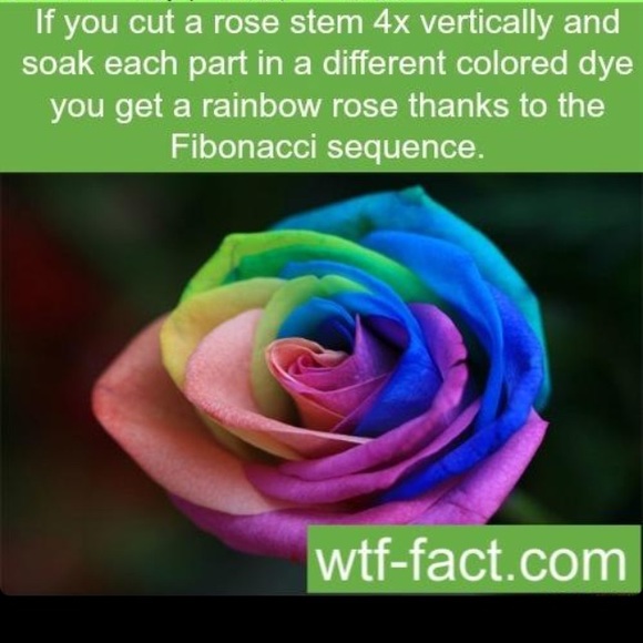 Profile Picture of Abby Moses (@amoses1) on Poshmark