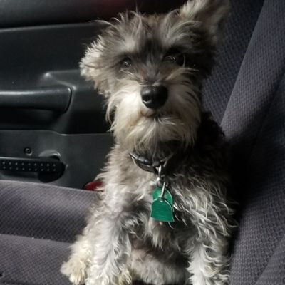 Wesley Hurst - Twitter Profile Picture of Wesley Hurst (@WesleyHurst18) on Twitter