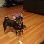 Profile Picture of Marilynn Ferguson (@manny.being.manny) on Instagram