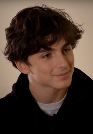 Profile Picture of Timothée Chalameton Wikipedia