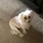 Profile Picture of Corey Fye (@coreyfye) on Instagram