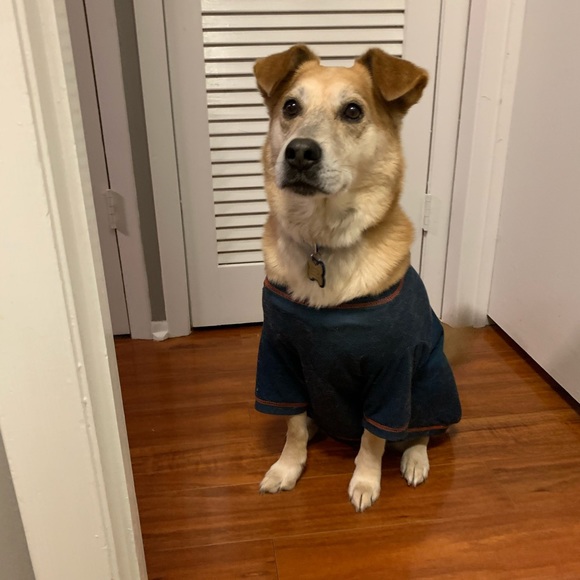 Profile Picture of Britney Ramirez (@britneyramir472) on Poshmark