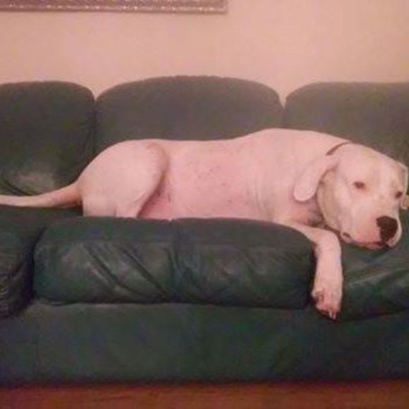 Profile Picture of Mary Paccione (@patch112547) on Poshmark