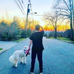 Profile Picture of Isaac Levinson (@isaac.levinson) on Instagram