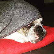 Profile Picture of Paul Beyer (@paulbeyer3001) on Youtube