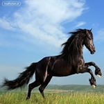 عیسی سام - Instagram Profile Picture of عیسی سام (@sabalan_sam) on Instagram