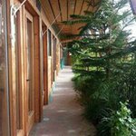 Phyllis Smith - Instagram Profile Picture of Phyllis Smith (@smith.pj01) on Instagram