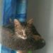 Profile Picture of Thomas Kinzer (@thomaskinzer7) on Pinterest