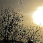 Profile Picture of Carlos Coelho Coelho (@carlos coelho carlos) on Flickr