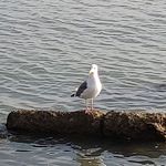 Profile Picture of Debbie McKenna (@debmac1734) on Instagram