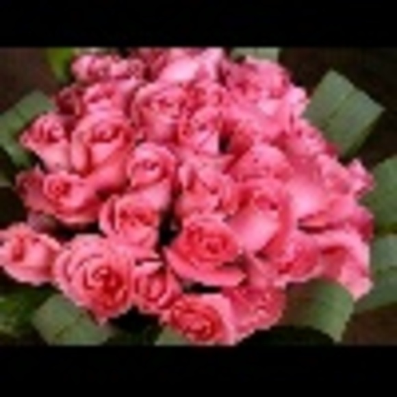 Profile Picture of Luz Hernandez (@luzhdz2) on Poshmark