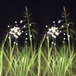 Profile Picture of Blake (@blake._.richard) on Instagram