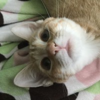 Profile Picture of Lucas Vanfossen (@lucas-vanfossen) on Quora