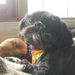 Profile Picture of My Info (@tammysturm40) on Pinterest