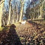 Profile Picture of Matt Freeland (@thyrotron) on Instagram